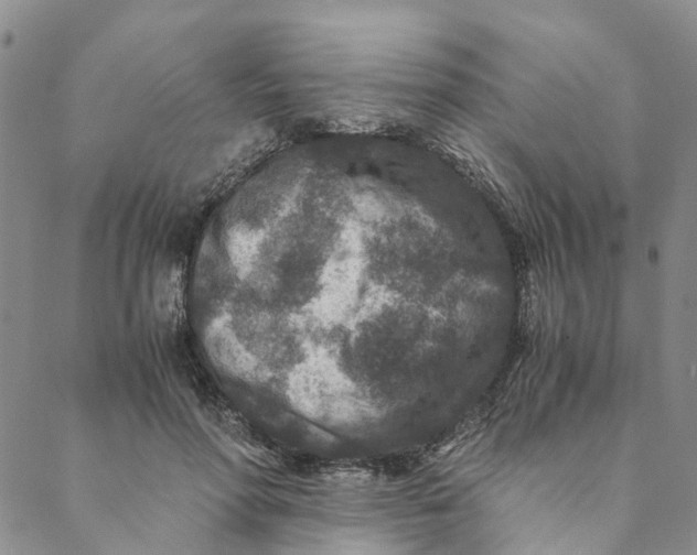 X0000088460598200706121506