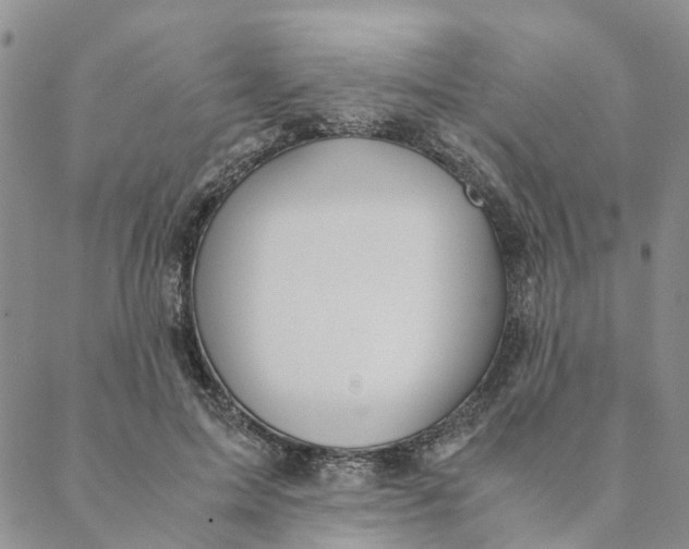 X0000088460599200706121506