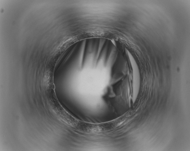 X0000088460600200706121506