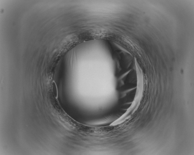 X0000088460601200706121506