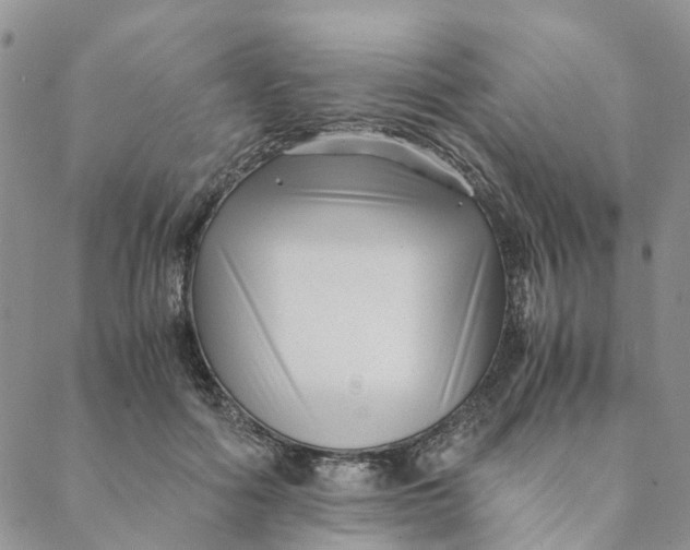 X0000088460602200706121506