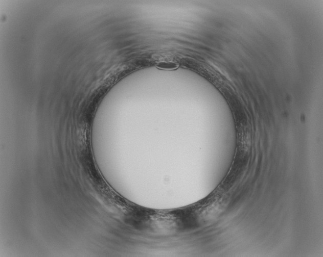 X0000088460603200706121506