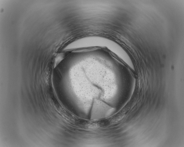 X0000088460604200706121506