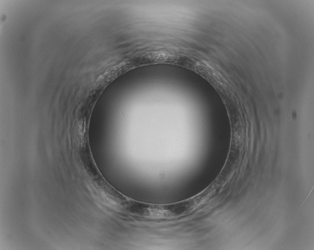 X0000088460605200706121506