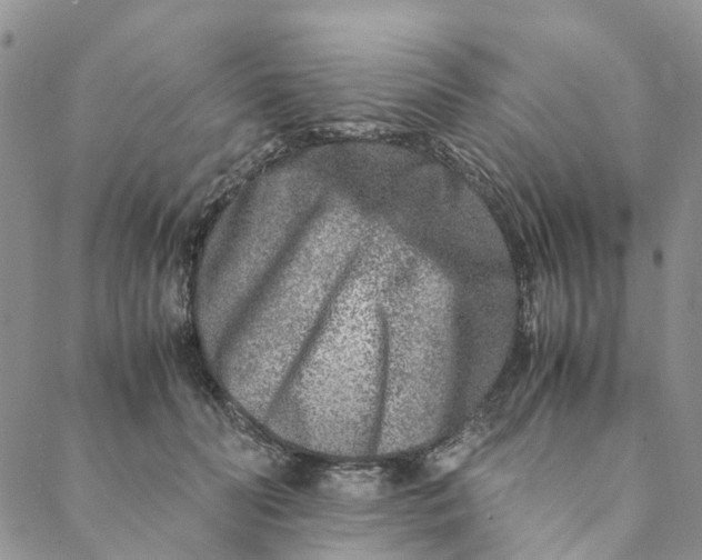 X0000088460606200706121506