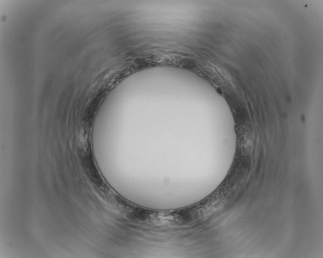 X0000088460607200706121506