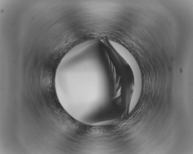 X0000088460608200706121506