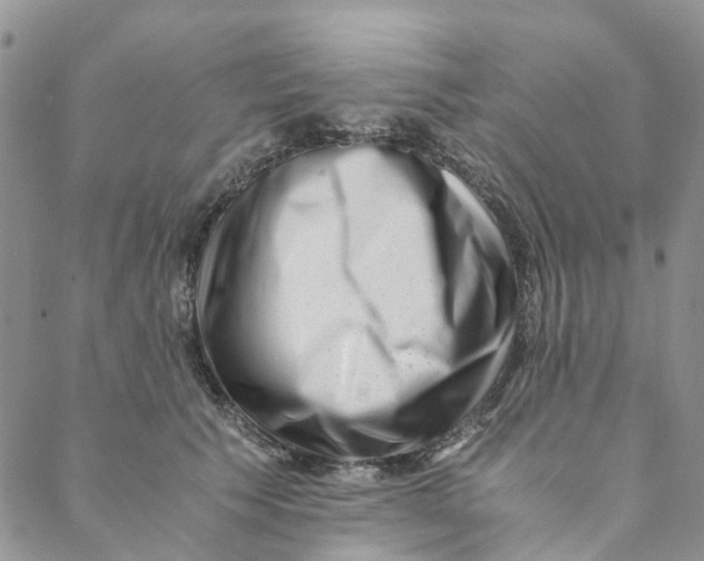 X0000088460609200706121506