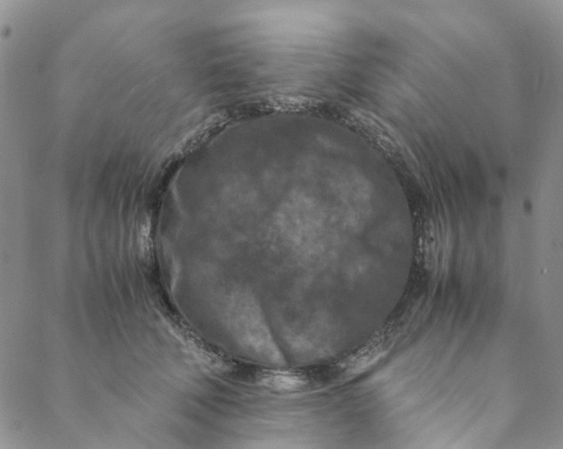 X0000088460610200706121506