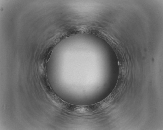 X0000088460611200706121506