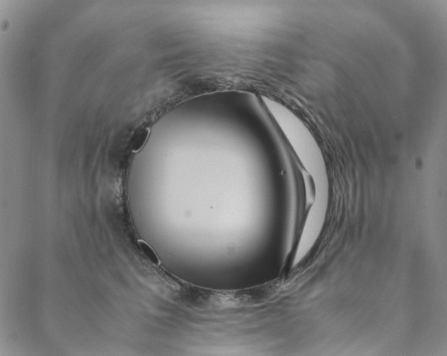 X0000088460613200706121506