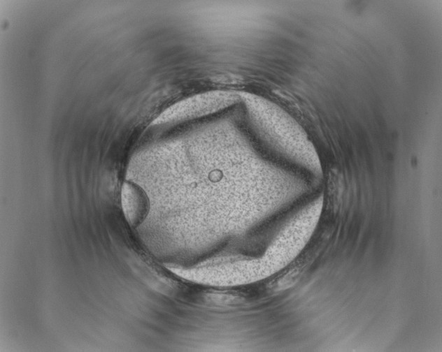 X0000088460614200706121506