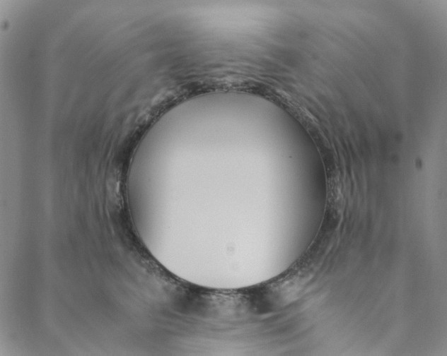 X0000088460615200706121506