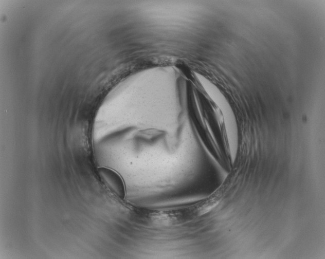 X0000088460616200706121506