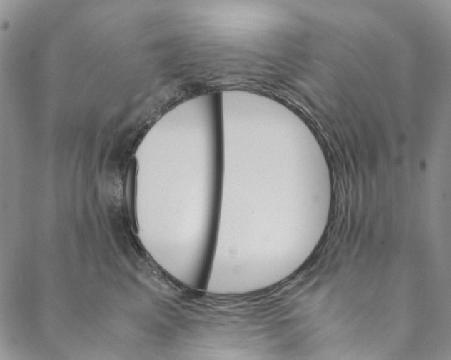 X0000088460617200706121506