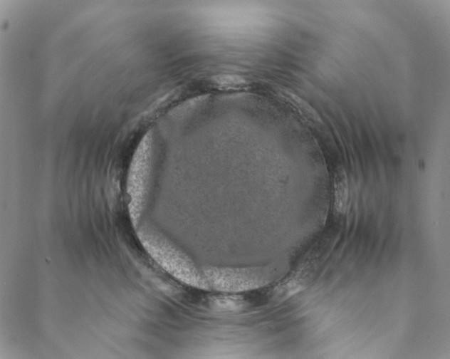 X0000088460618200706121506