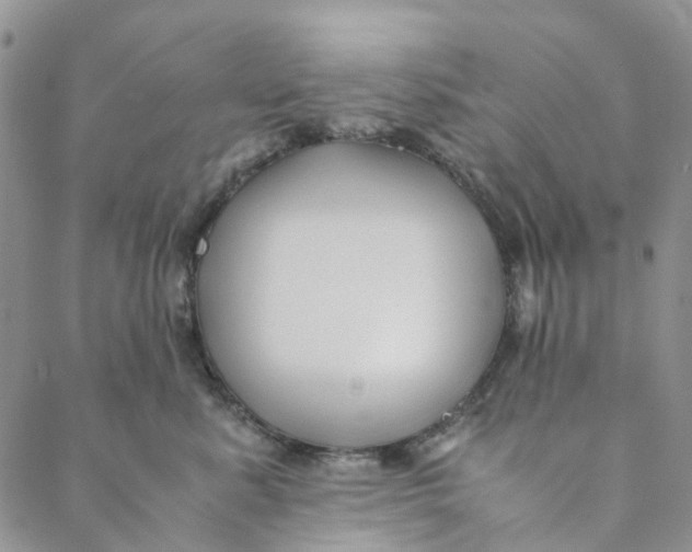 X0000088460619200706121506