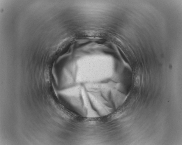 X0000088460620200706121506