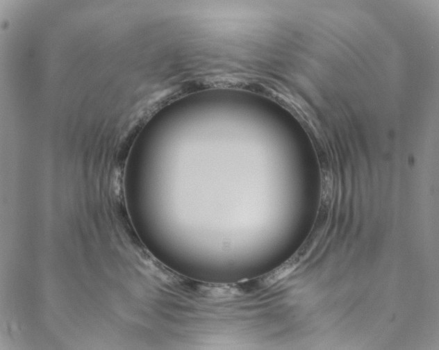 X0000088460621200706121506