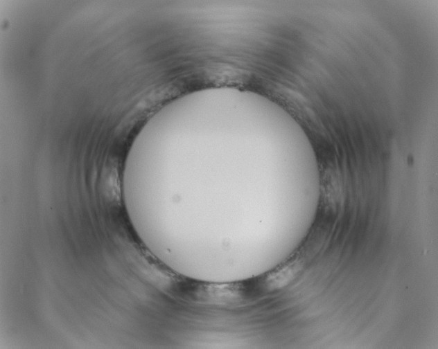 X0000088460622200706121506