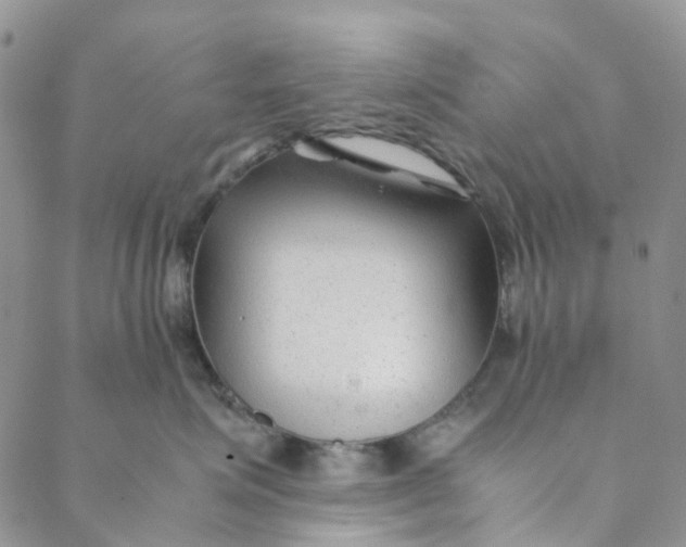 X0000088460623200706121506