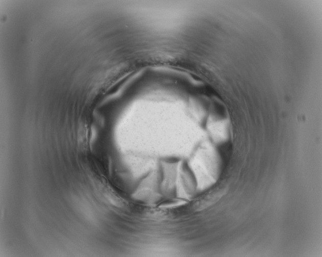 X0000088460624200706121506