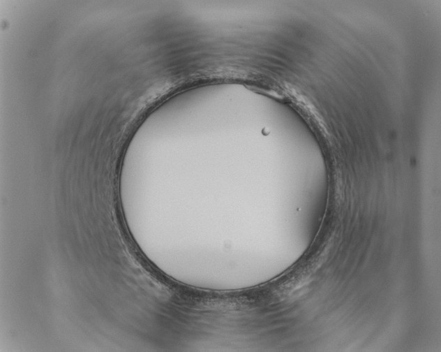 X0000088460625200706121505