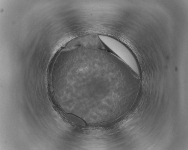 X0000088460626200706121505