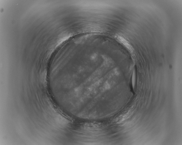 X0000088460627200706121505