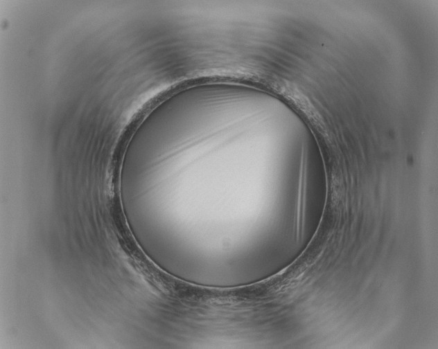 X0000088460628200706121505