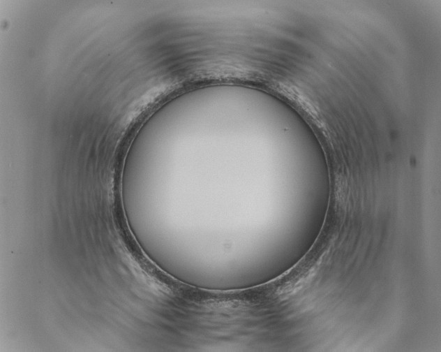 X0000088460629200706121505