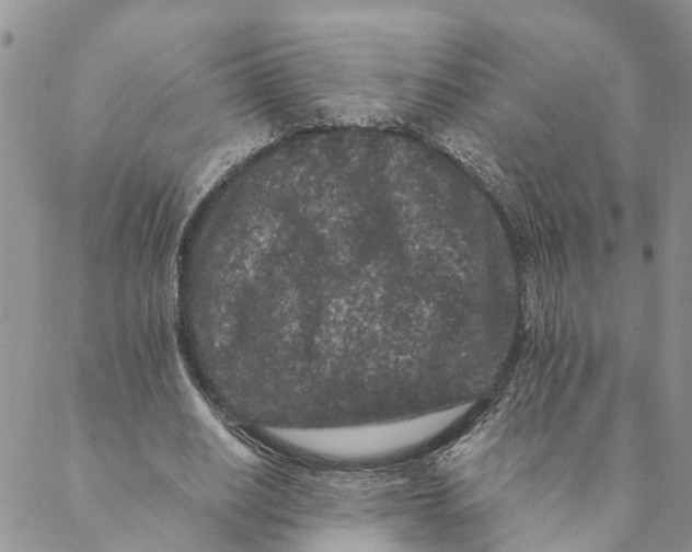 X0000088460630200706121505