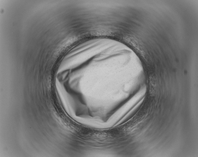 X0000088460631200706121505