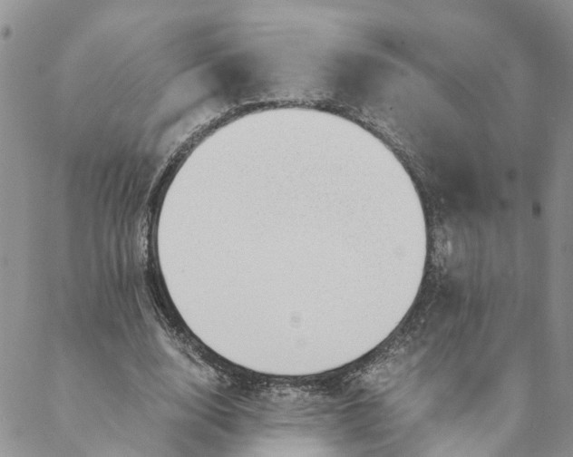 X0000088460632200706121505