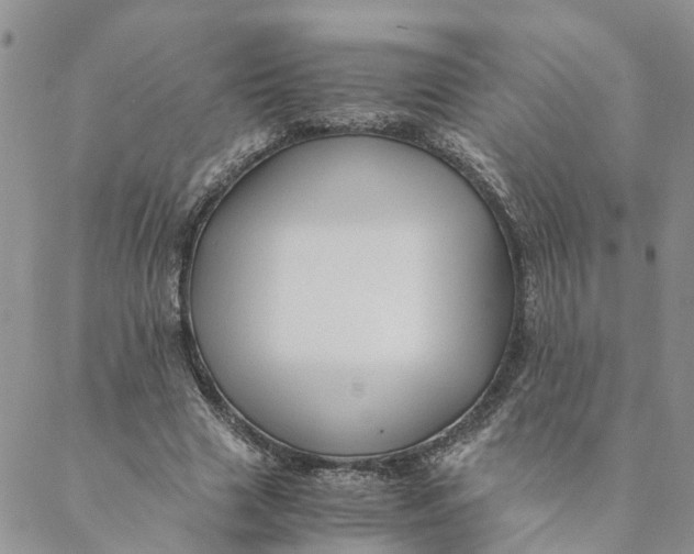 X0000088460633200706121505