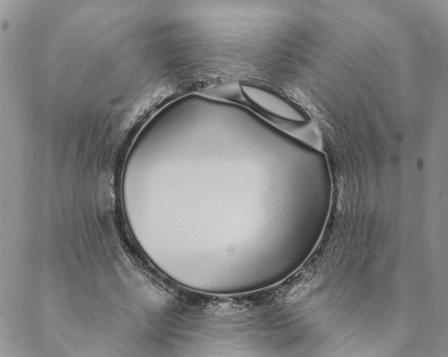 X0000088460634200706121505