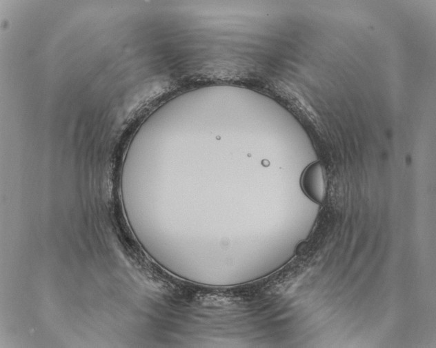 X0000088460635200706121505