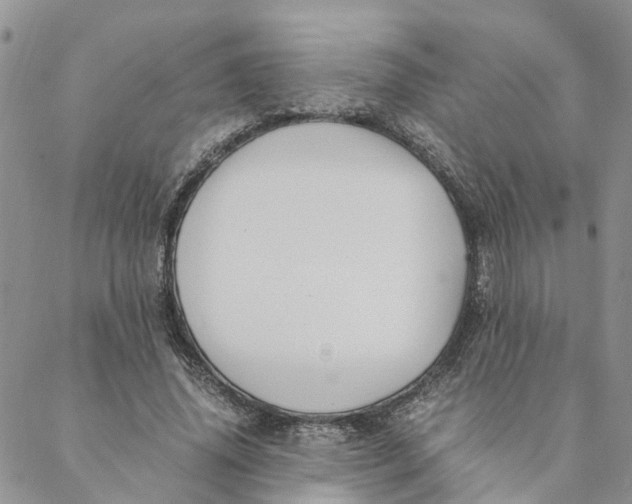 X0000088460636200706121505