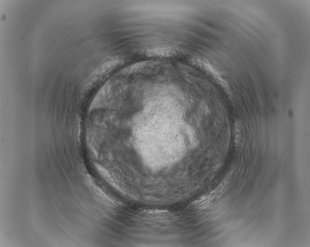 X0000088460637200706121505