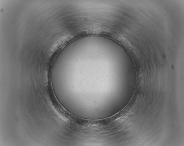 X0000088460638200706121505