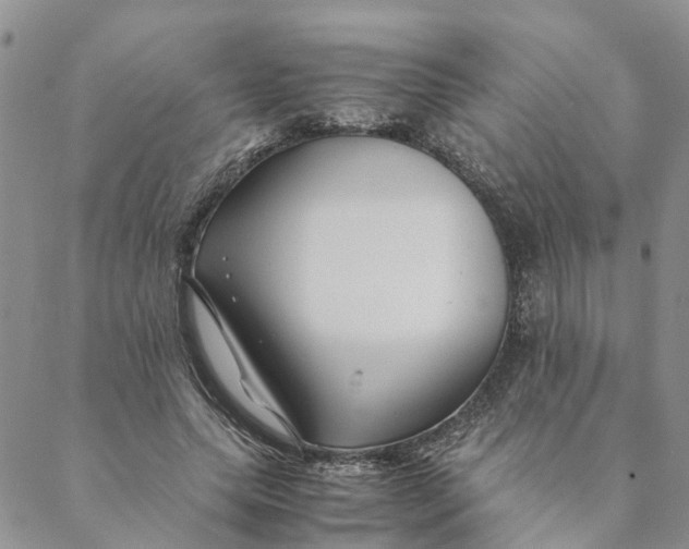 X0000088460639200706121505