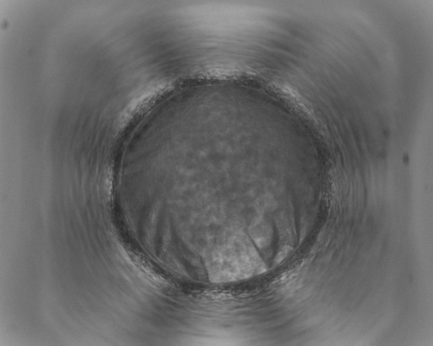 X0000088460640200706121505