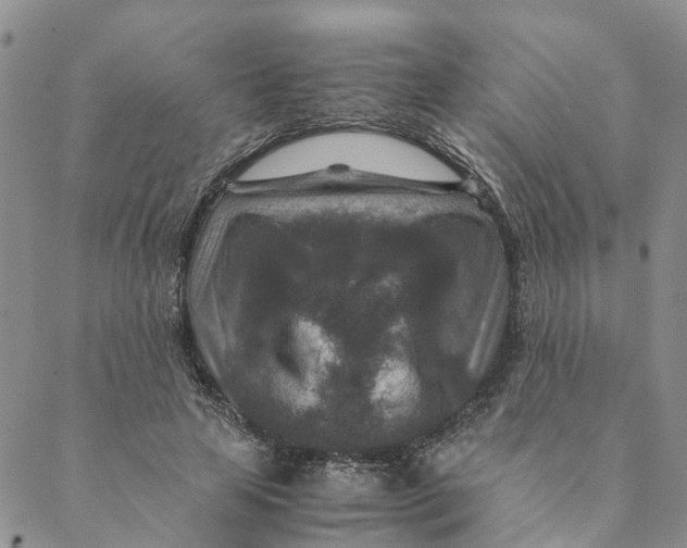 X0000088460641200706121505