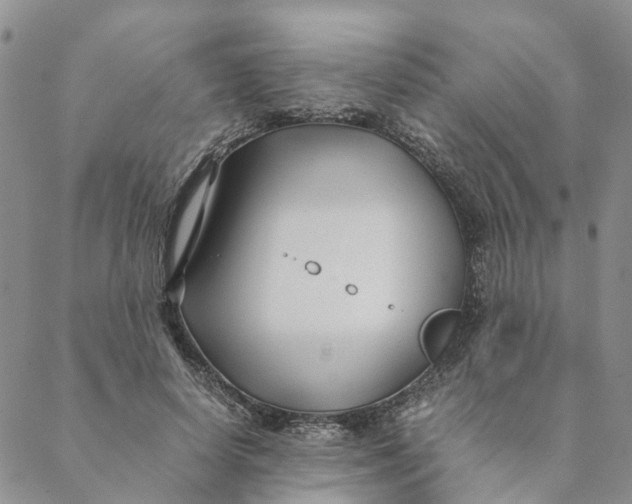 X0000088460642200706121505