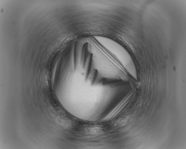 X0000088460643200706121505