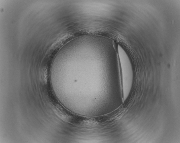 X0000088460644200706121505