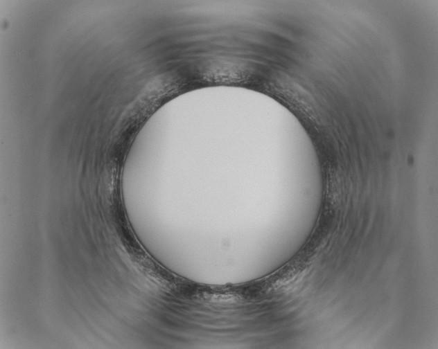 X0000088460645200706121505