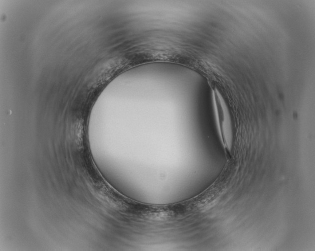 X0000088460646200706121505