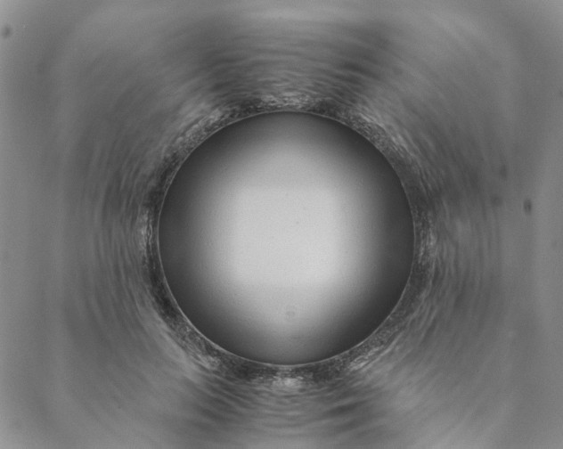 X0000088460647200706121505