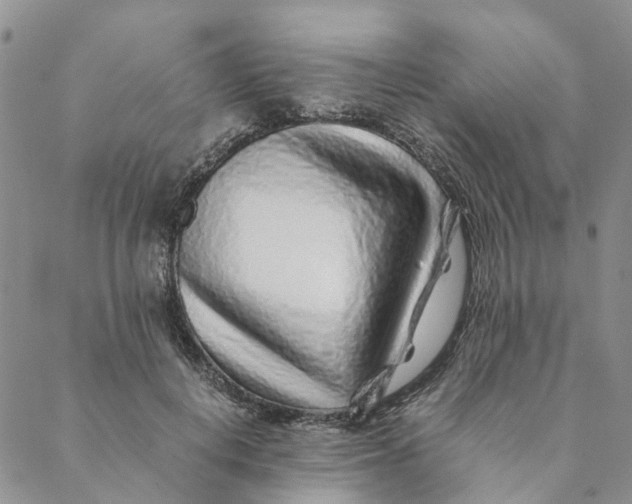 X0000088460648200706121505